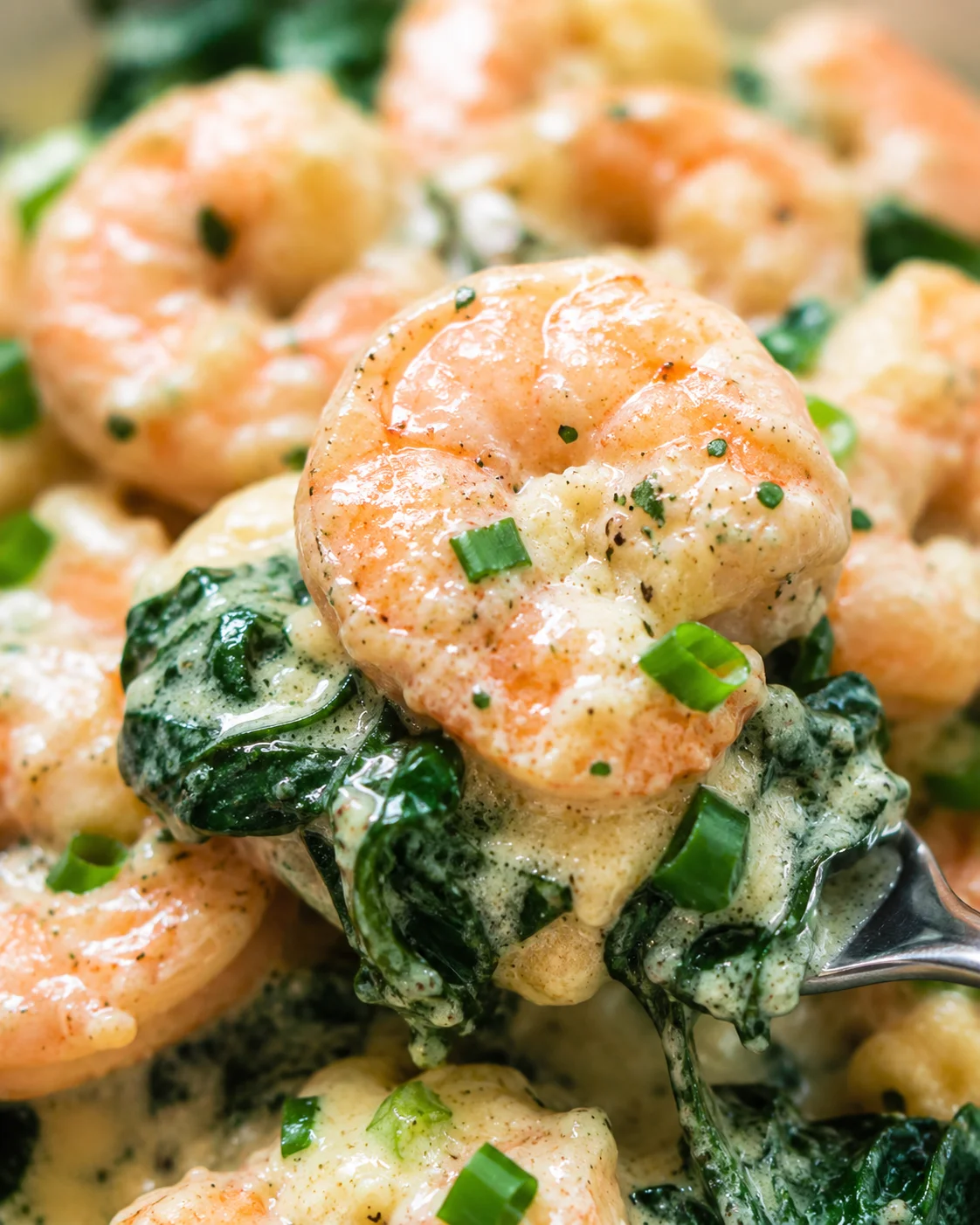 Delicious creamy garlic Parmesan shrimp served over fresh greens and vegetables.