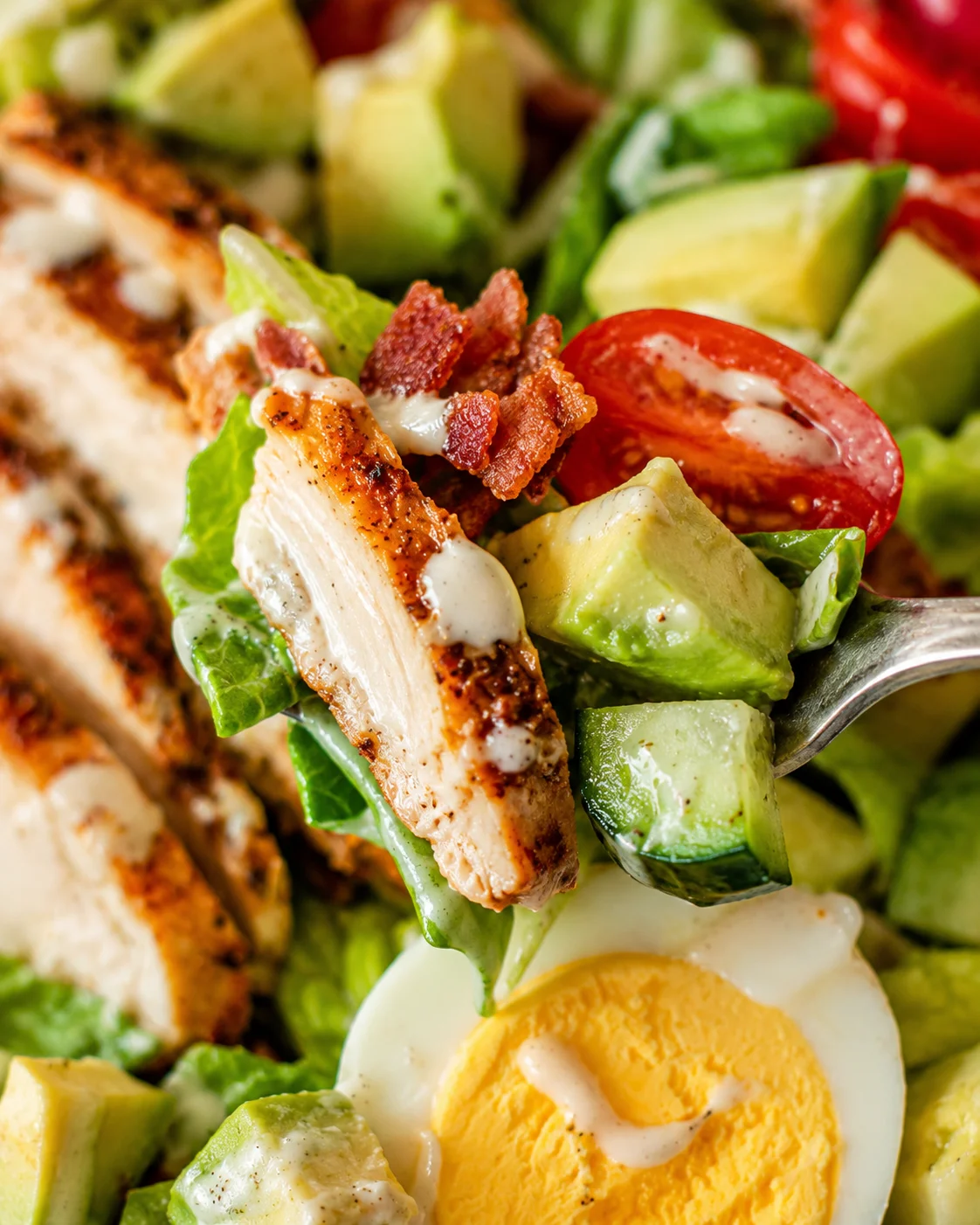 Close-up of a colorful Cobb salad with chicken, bacon, avocado, and egg slices