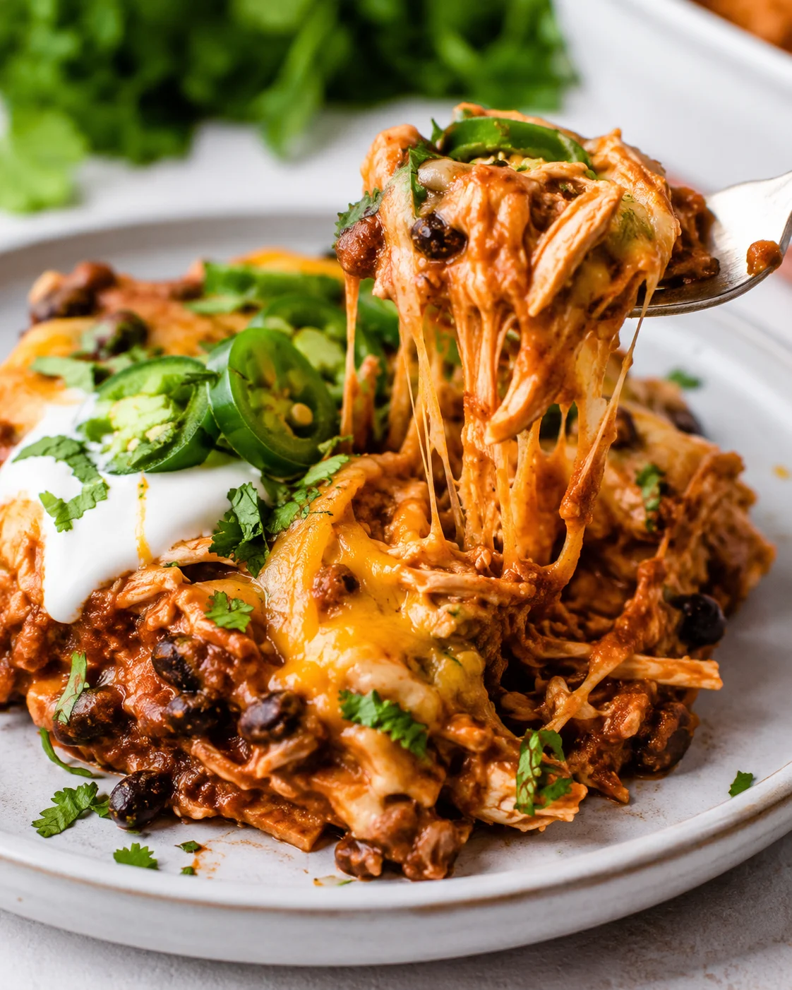 Delicious cheesy chicken enchiladas with black beans and tortillas in a serving dish