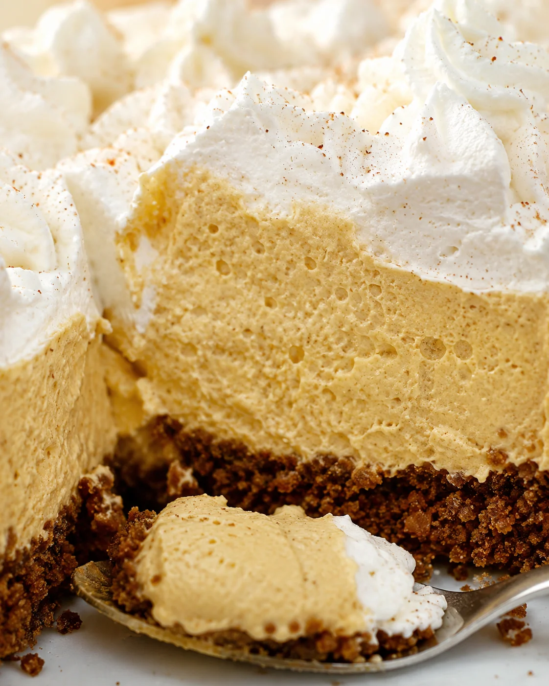 Close-up of a creamy pumpkin silk pie with whipped topping and gingersnap crust.