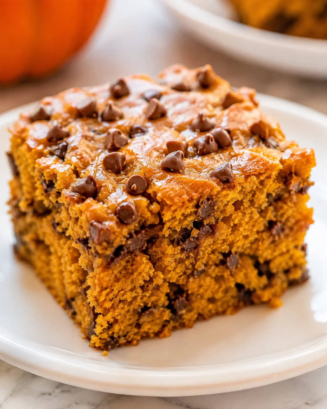 Close-up of moist pumpkin cake topped with chocolate chips on a white plate