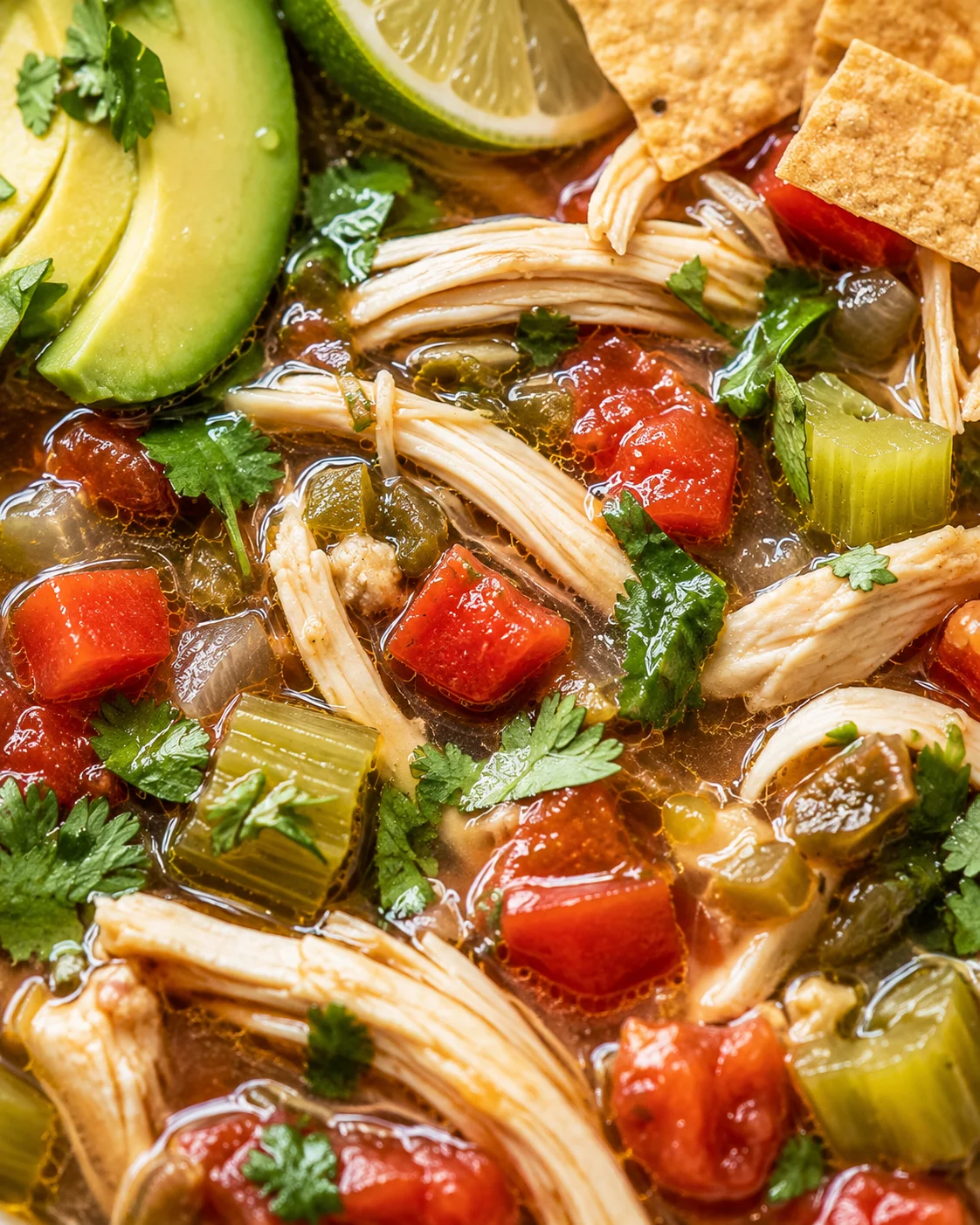 Close-up detail of shredded chicken, diced tomatoes, celery and cilantro in chicken and lime soup