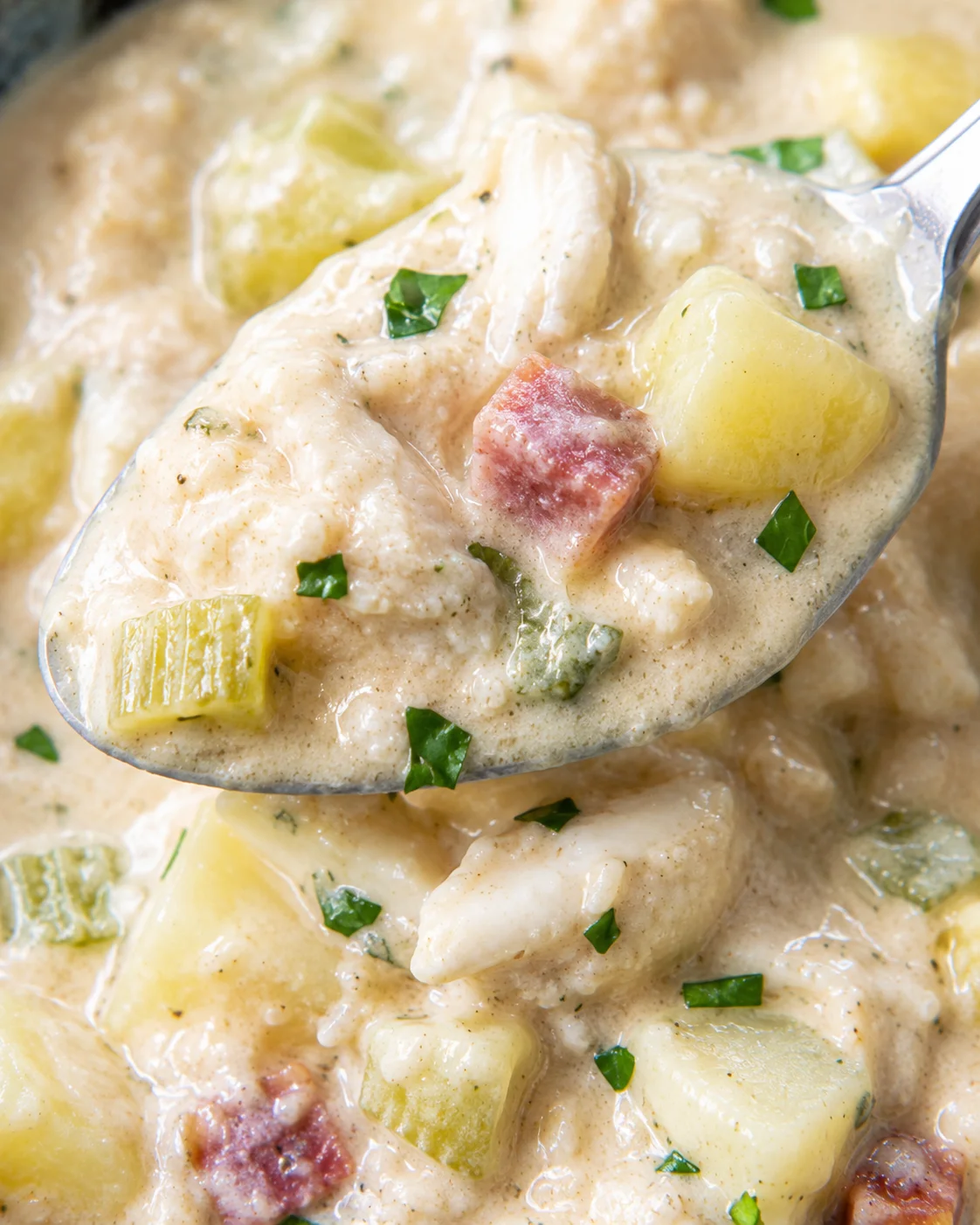 Close-up detail of cream of crab soup showing crab meat, potato cubes, bacon and creamy texture