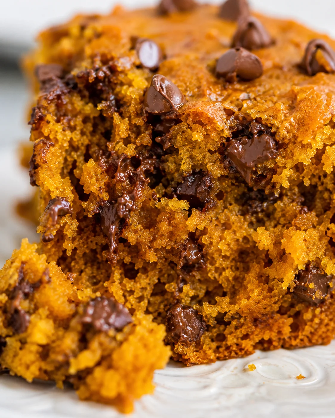 Close-up of moist pumpkin chocolate chip cake with melted chocolate chips on top